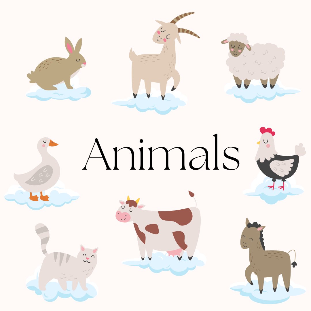 Animals